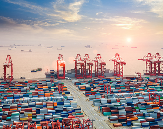 freight forwarder